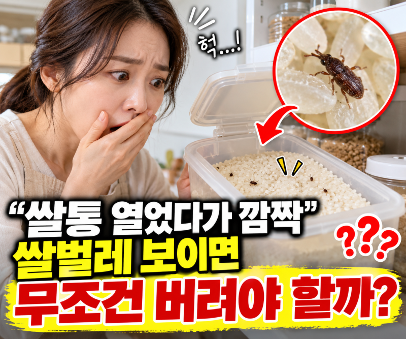 "쌀통 열었다가 깜짝"쌀벌레 보이면 무조건 버려야 할까?