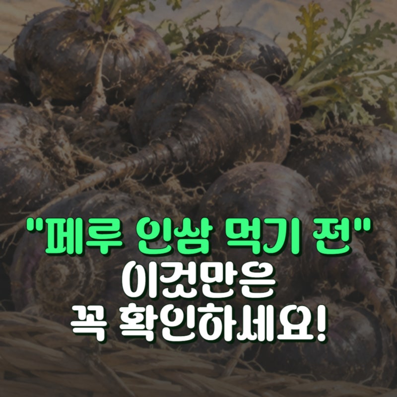 블랙마카 효능만 보고 먹는다면? 뜻부터 부작용 2가지까지 확인