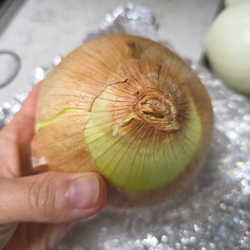 양파 오래 보관하는 법 - 이렇게 두면 두세달도 거뜬해요
