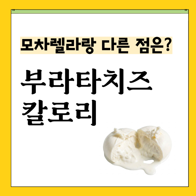 부라타치즈 뜻이 '버터를 바른'? 칼로리 먹는법 보관법