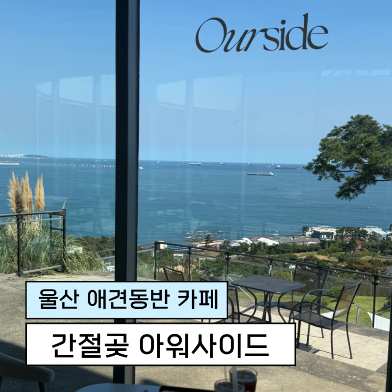 울산 애견동반 카페 아워사이드 드라이브코스 추천 오션뷰 간절곶 서생 대형카페