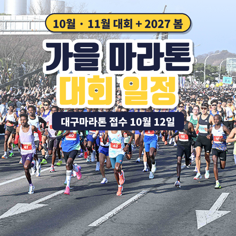 2026 가을 마라톤 대회 일정 | 10~11월 경주·춘천·JTBC·손기정 + 대구마라톤 접수 10월 12일