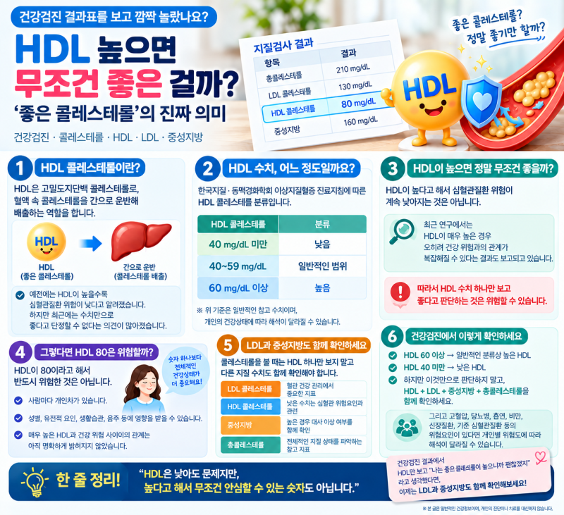 HDL 80인데 안심해도 될까? 건강검진에서 놓치기 쉬운 콜레스테롤