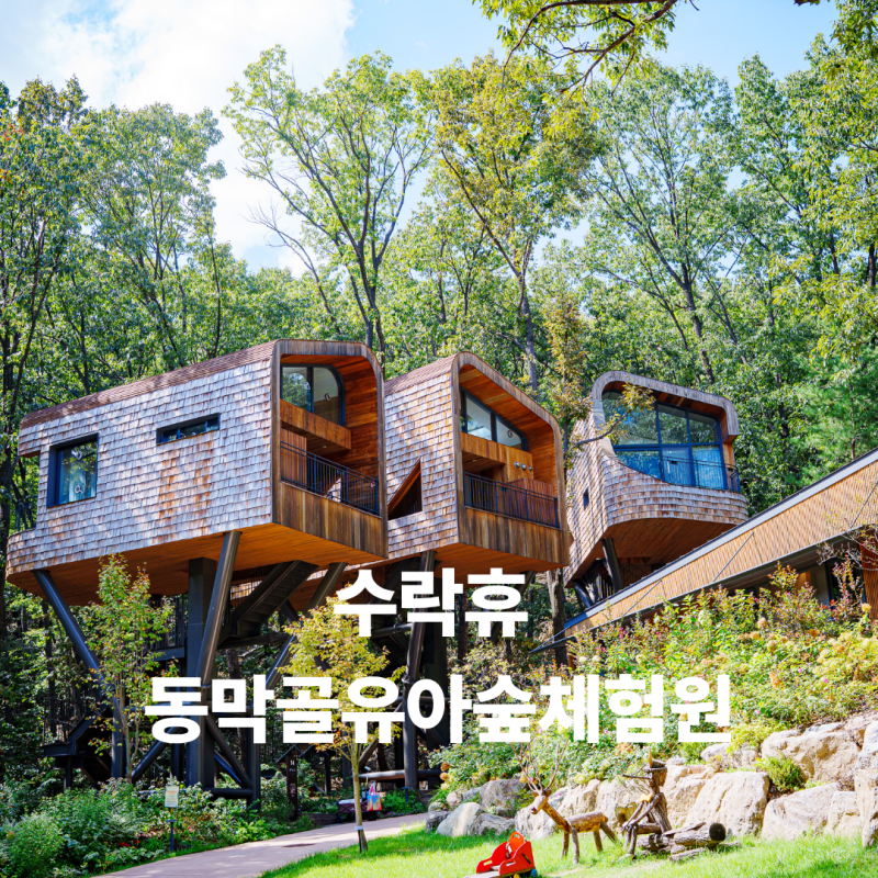 노원가볼만한곳 수락휴 예약 수락산동막골유아숲 체험원 주차