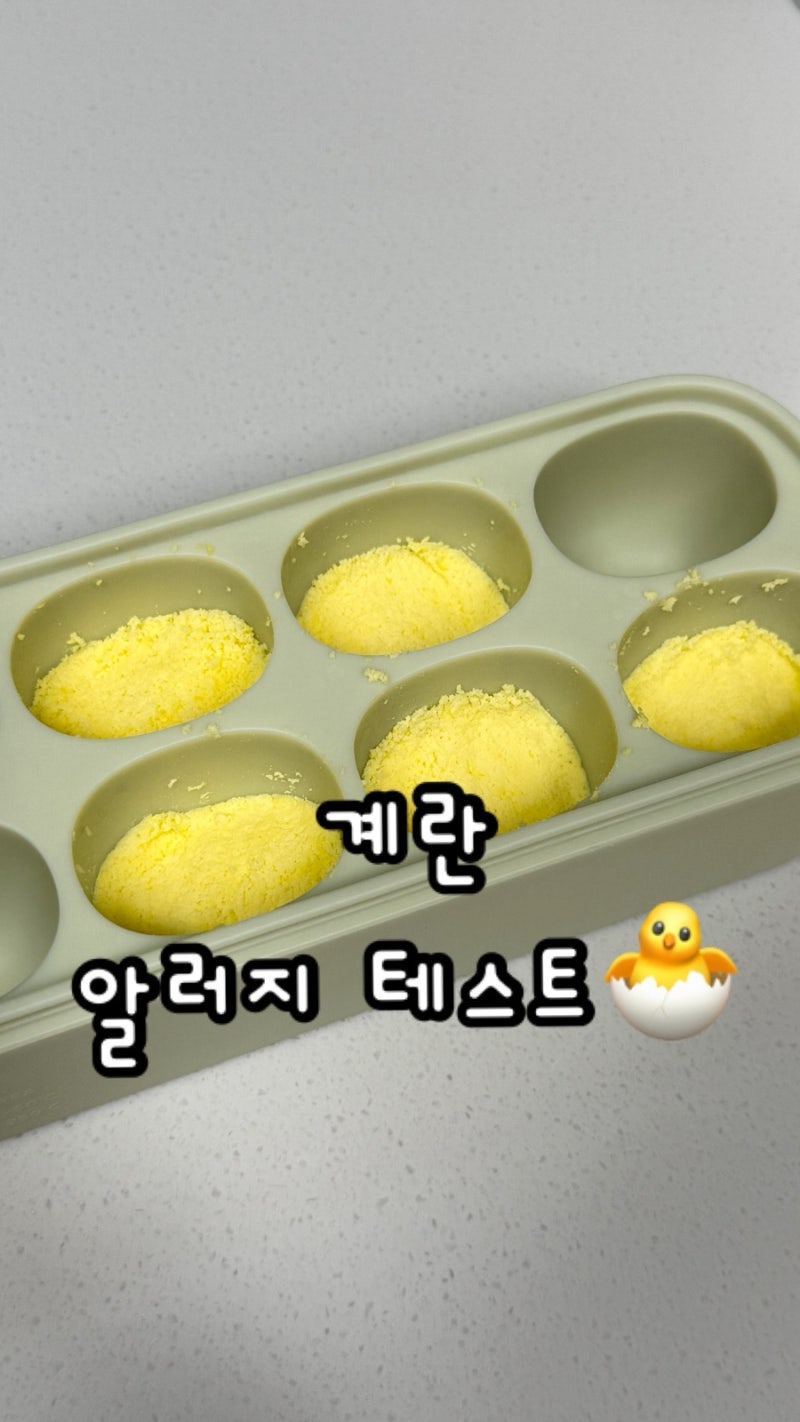 6개월아기 계란 알레르기 테스트 계란 노른자 흰자 큐브 만드는 방법