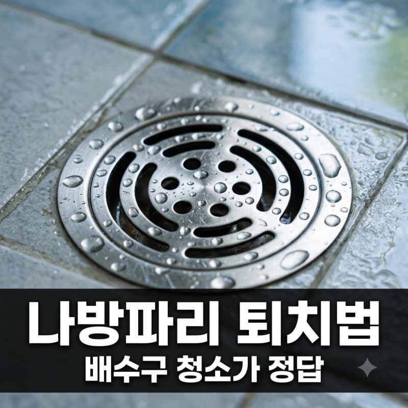 욕실 나방파리 퇴치법 배수구 청소가 가장 확실한 정답