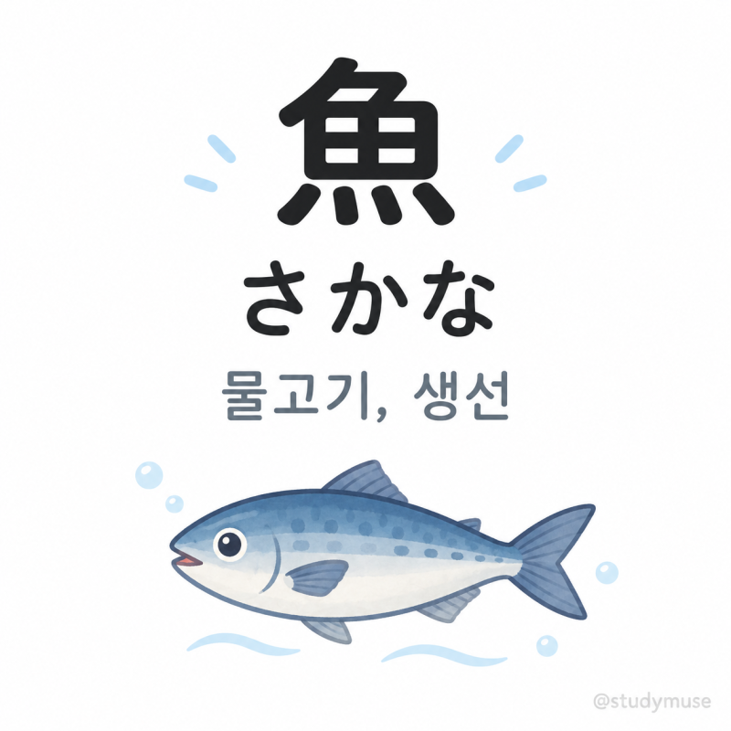 [JLPT N5 일본어 한자] 물고기 어(魚) 뜻과 읽는 법｜사카나·교, 생선·물고기 일본어 정리
