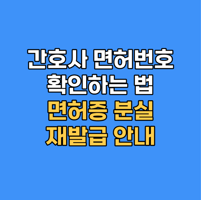 간호사 면허번호 확인하는 법｜면허증 분실·재발급 안내