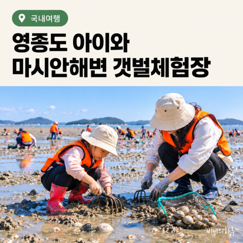 Yeongjongdo Mashian Beach Tidal Flat Experience with Kids: Honest Review | Parking, Tide Times, Fees, Preparations