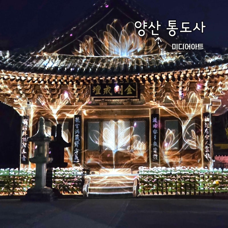 양산 통도사 미디어아트 축제 관람코스 주차 시간 꿀팁, 직접 다녀온 야간 관람 후기