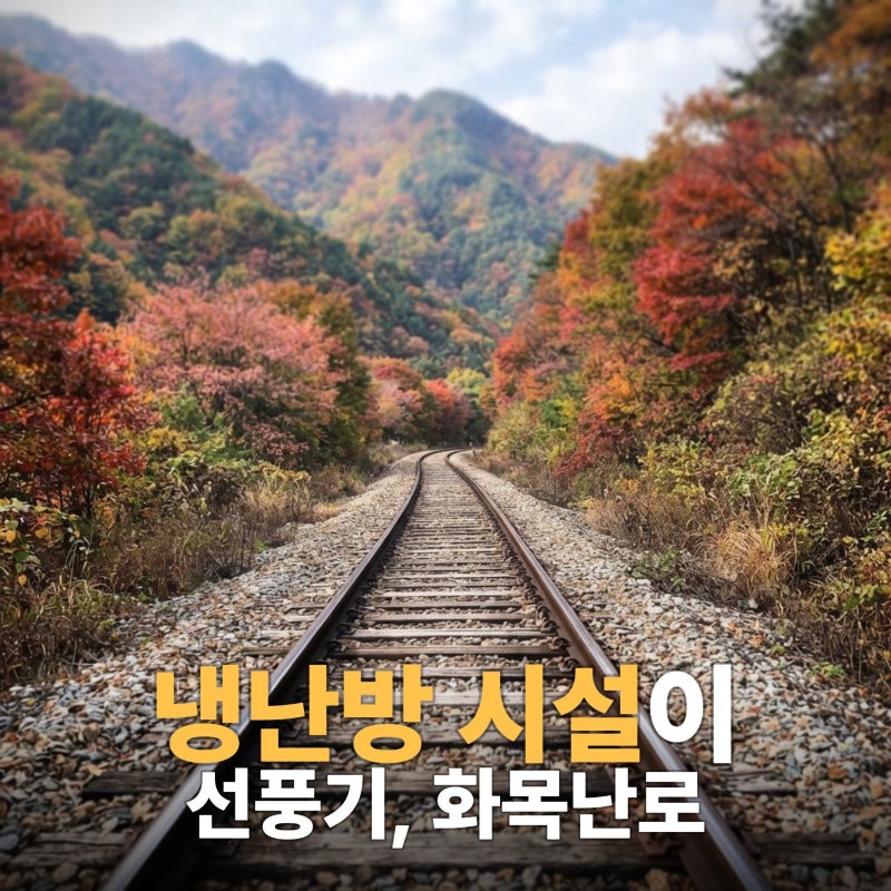 백두대간 협곡열차 이용방법