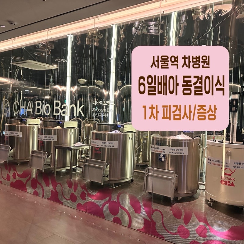 서울역 차병원 1차피검 결과, PGT 6일 동결배아 이식 후 증상