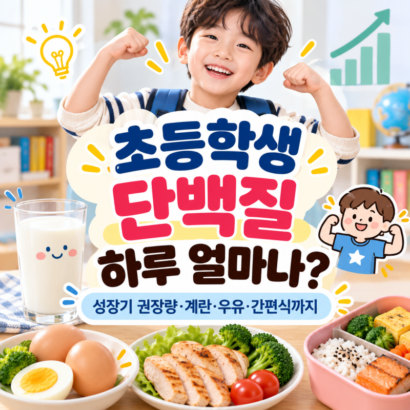 초등학생 단백질 하루 얼마나?｜성장기 권장량·계란·우유·간편식까지