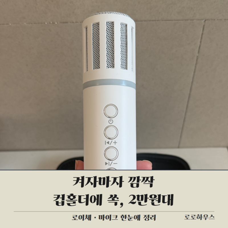 로이체 마이크 차량용 블루투스 노래방 아이들이랑 써봤어요