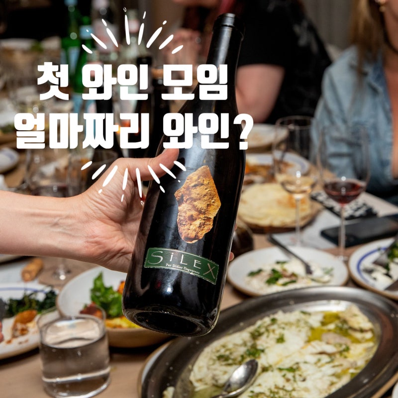 [와인모임 #2] 첫 와인 모임, 얼마짜리 와인을 가져가야 할까? 어느 정도 가격이면 괜찮을까?