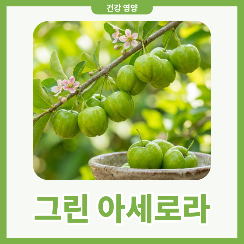 그린 아세로라 하루 권장량 먹는 방법 효과 한눈에 정리 팁