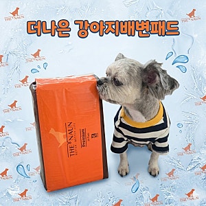 더나은 강아지배변패드 대형 탈취 흡수력 대만족 후기