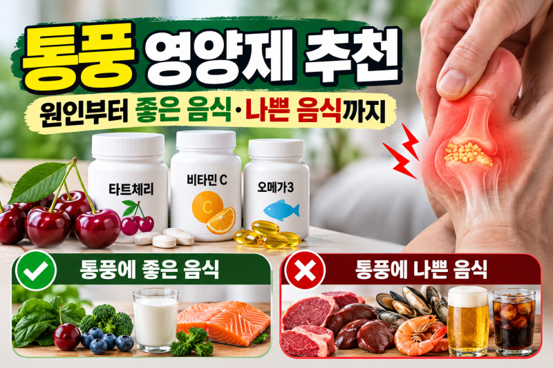 통풍 영양제 추천, 통풍 원인부터 좋은 음식 나쁜 음식까지 정리