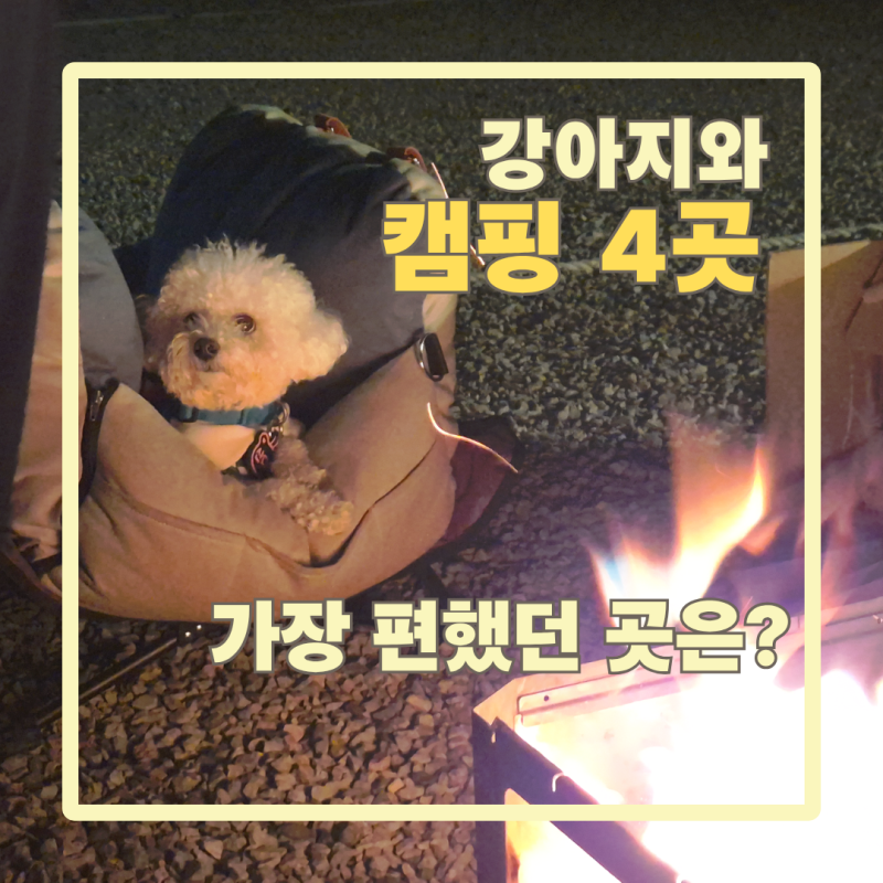 대구근교 노지캠핑, 강아지랑 가본 4곳 비교 (무료 노지부터 바다 캠핑장까지)