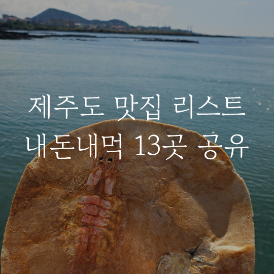 제주도 맛집&카페 추천 리스트 13곳 공유 지도 내돈내산