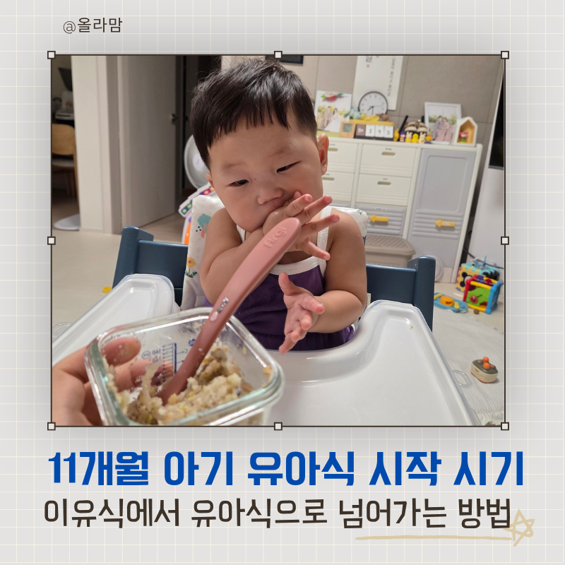 11개월 아기 유아식 시작 시기, 이유식에서 유아식으로 넘어가는 방법