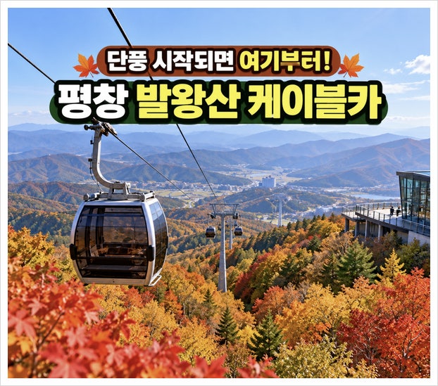 평창 발왕산 케이블카 "18분 올라가면?" 가을 단풍 정상은 달라요