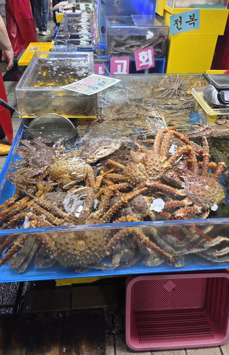 인천 연안부두 어시장 꽃게 물치기 비추 후기