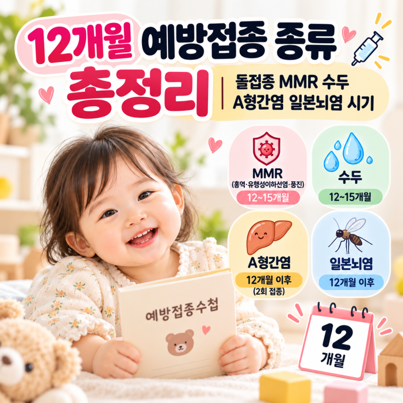 12개월 예방접종 종류 총정리｜돌접종 MMR 수두 A형간염 일본뇌염 시기
