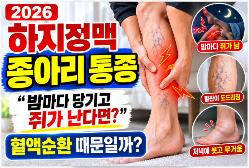 2026 하지정맥 종아리 통증 “밤마다 당기고 쥐가 난다면?” 혈액순환 때문일까