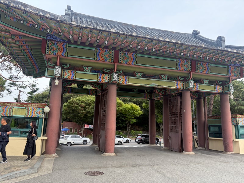 주말 어린이대공원 주차 꿀팁 바로 앞 5분거리 세종대학교 추천