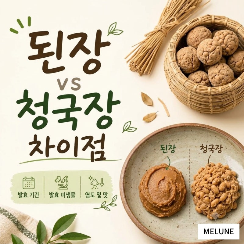 된장과 청국장 차이 | 발효 기간과 만드는 방법 비교