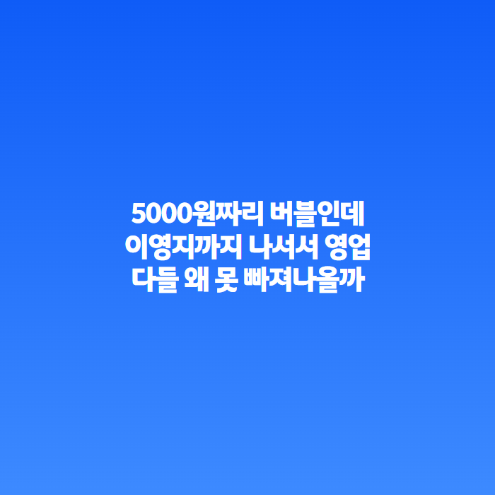 이광수 버블 가격 얼마길래 이영지도 "맛집은 오픈 초반"이라더니 구독 방법까지 난리