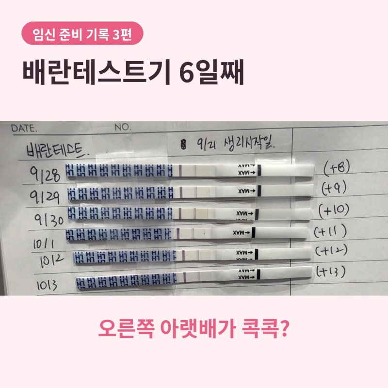 가임기 3일째, 이게 배란통일까? 원포 배란테스트기 어디가 더 쌀까