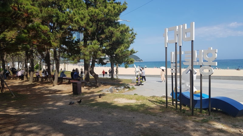 (부산)해운대 해수욕장 송림공원(바다 황톳길, 바다 수국길)