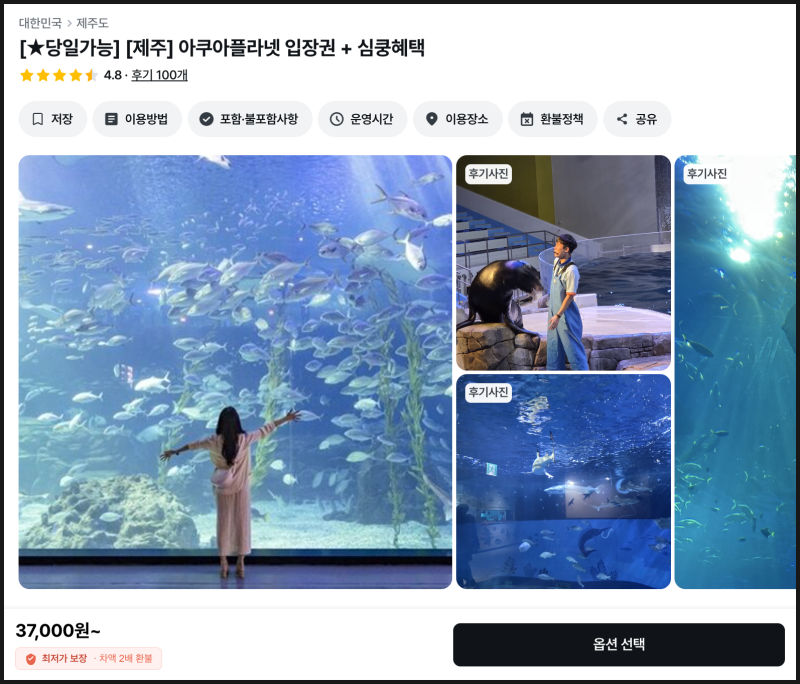 제주 아쿠아플라넷 할인 꿀팁부터 공연시간까지 정리
