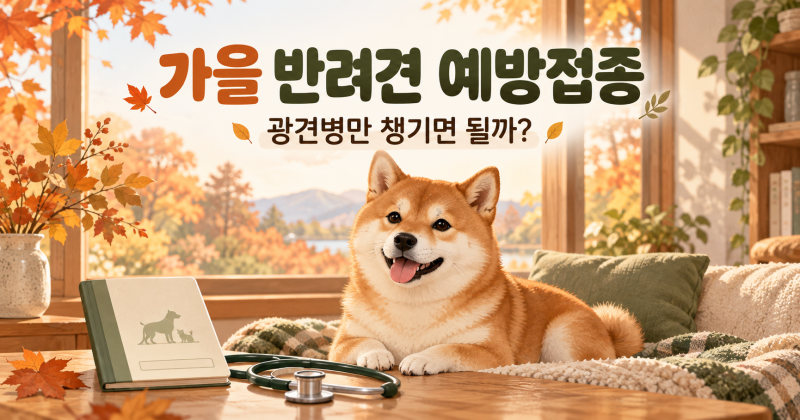 가을에 꼭 확인해야 할 반려견 예방접종, 광견병만 챙기면 될까?