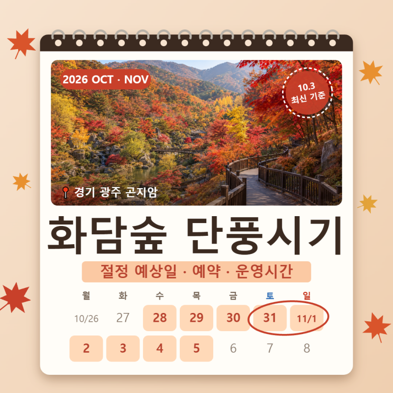 和談林楓葉季 2026年最盛期是何時？10月～11月營運時間・預約・單軌列車費用・拍照點總整理