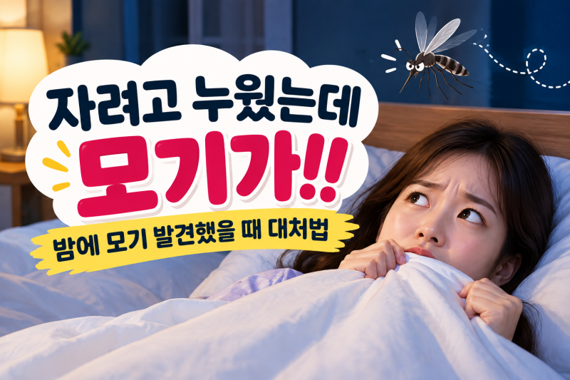 자려고 누웠는데 모기가!! 밤에 모기 발견했을 때 대처법