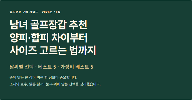남녀 골프장갑 추천 양피·합피 재질 차이부터 사이즈 고르는 법까지 제품추천 ,가성비추천,....