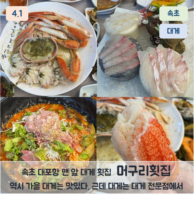 속초 대포항 대게 머구리횟집 추석연휴 방문후기(2인 대게 가격, 수율, 스끼다시)