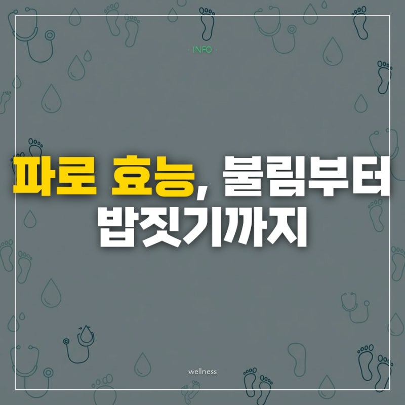 "통파로를 쌀처럼 바로 넣었다가 망쳤다"던데, 불림부터 파로밥까지 제대로 짓는 법