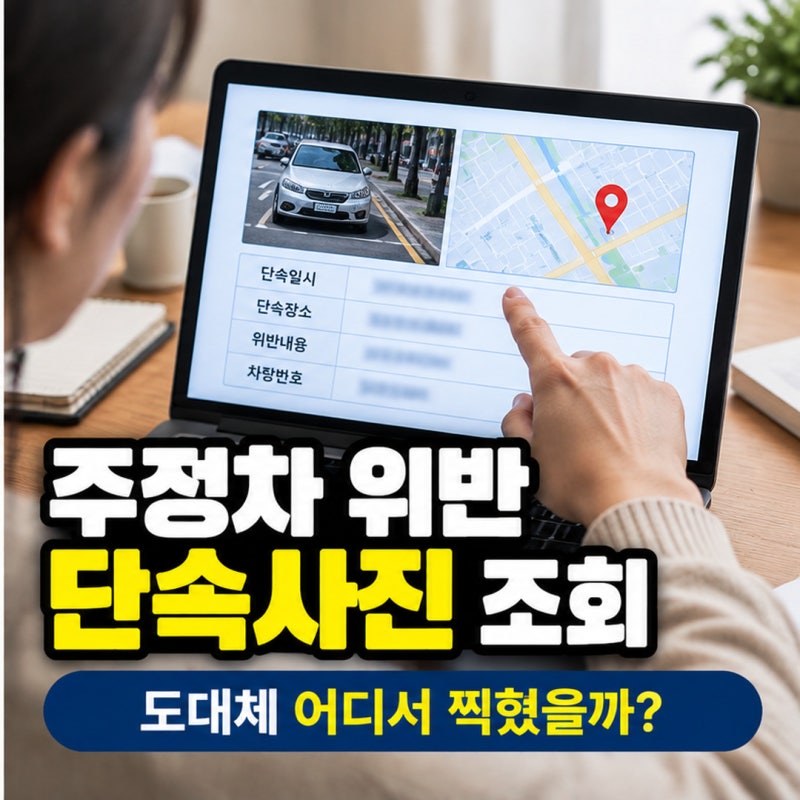 주정차 위반 단속사진 조회, 어디서 찍혔는지 확인하는 방법