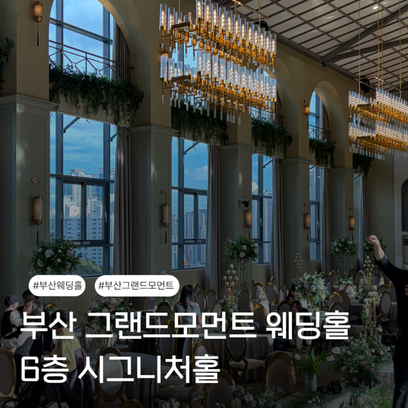 부산 그랜드모먼트 웨딩홀 6층 시그니처홀 하객 후기