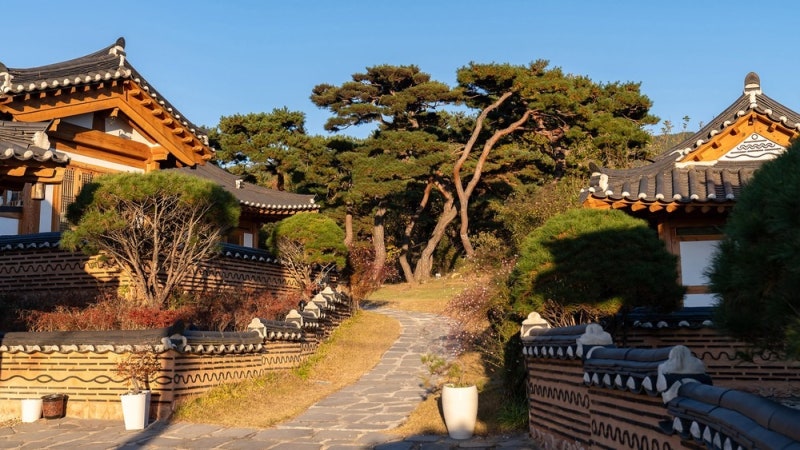 경주 애견동반 한옥 숙소 추천｜반려견과 특별한 경주 여행