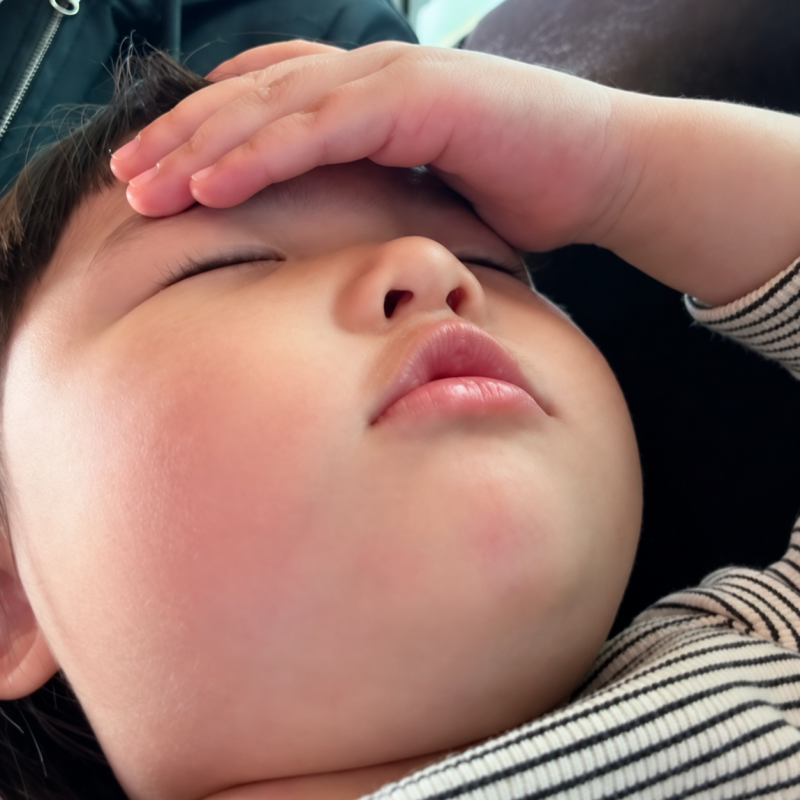 가격이 쪼까 심상치 않습니다ㅋㅋ