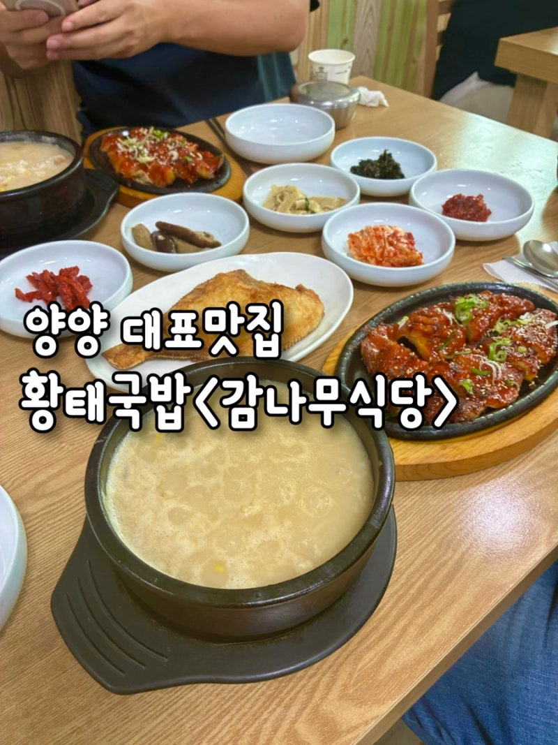 양양여행 필수맛집“감나무식당”평일웨이팅,메뉴추천 ,황태국밥과 황태구이