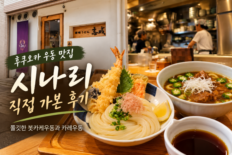 후쿠오카 우동 맛집 시나리 직접 가본 후기｜쫄깃한 붓카케우동과 카레우동