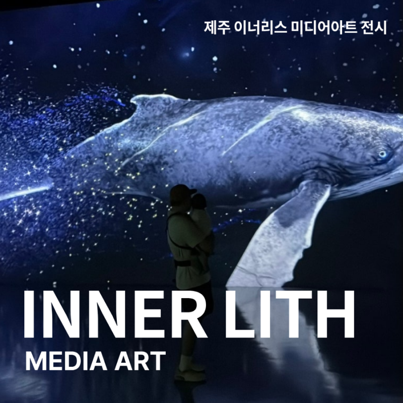 10개월 아기랑 제주 동쪽 실내관광지 이너리스, 제주도미디어아트 가볼만한 곳