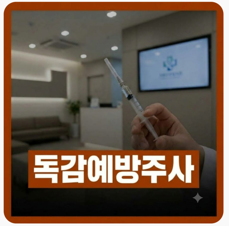 독감 무료접종 2026 대상자 총정리,시작 일정과 병원 방문 전 필수 총정리(+무료대상,접종비용....