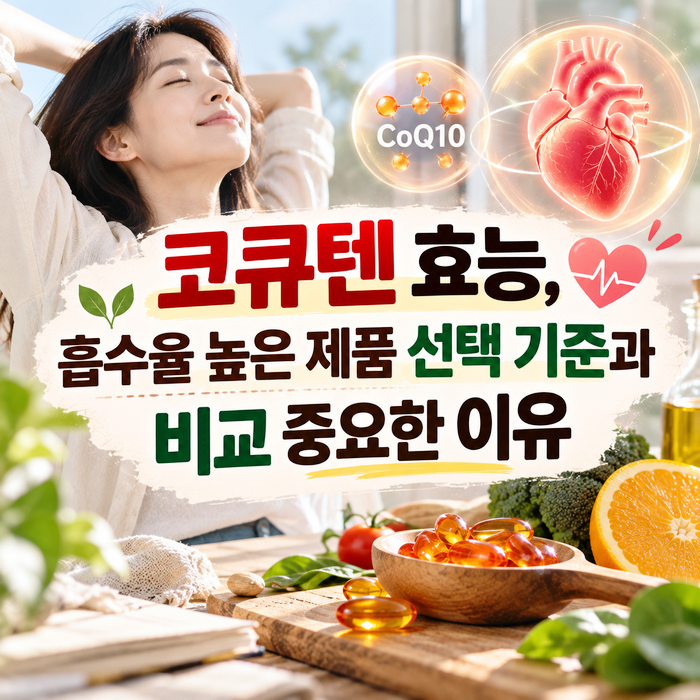 코큐텐 효능, 흡수율 높은 제품 선택 기준과 비교 중요한 이유